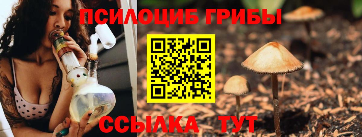 Галлюциногенные грибы MAGIC MUSHROOMS  Вход с VPN  Азов 